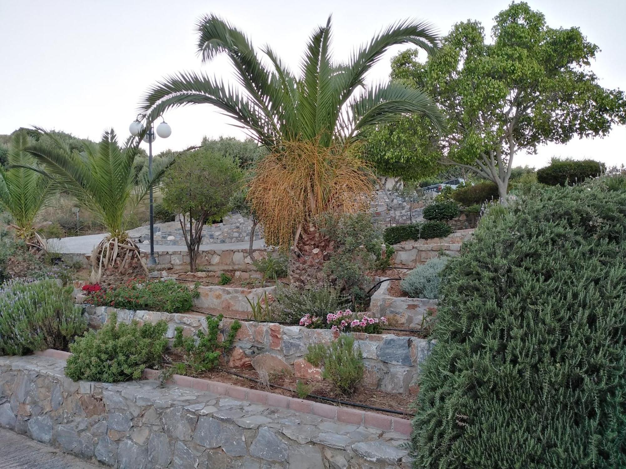 Agnanti Villas Agia Pelagia Exteriör bild